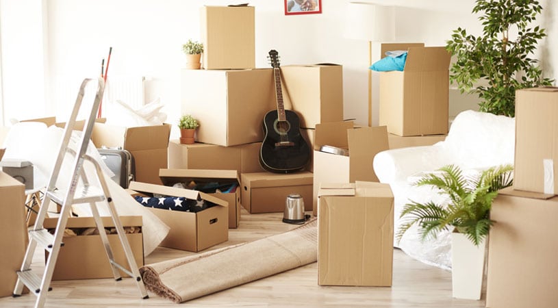 Key Reasons You Need To Hire A Professional Removalist in Sydney